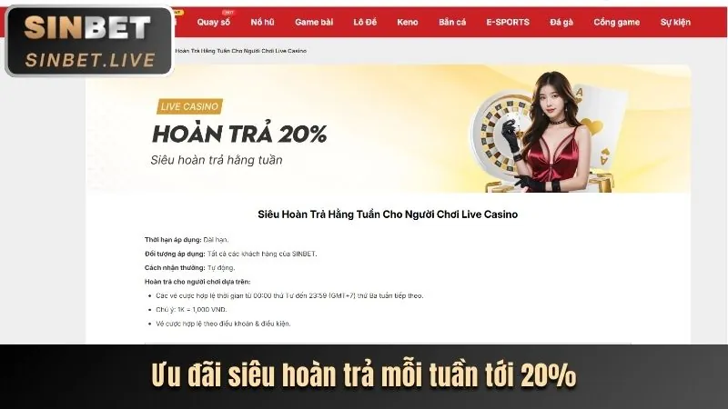 Các loại cá cược thể thao phong phú tại 1win web